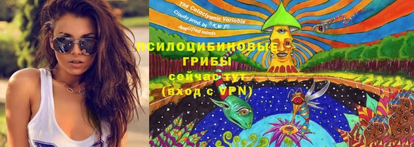 тгк Абинск