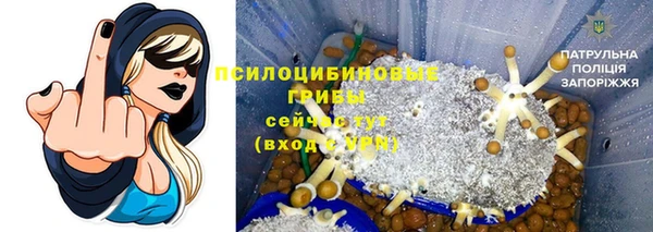 мяу мяу мука Алексин