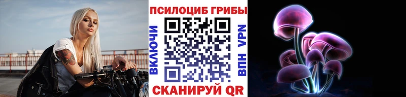 Галлюциногенные грибы Psilocybe  цены   Сусуман 