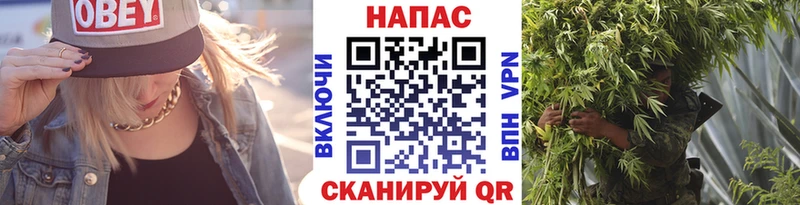 Бошки марихуана OG Kush  Сусуман 
